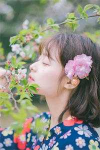 梨花落尽雪难晴顾砚池温清辞后续+全文