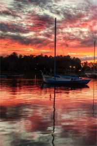 雾霭散尽人无踪后续+结局