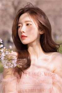 新婚承欢全文+免费