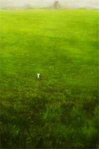 那位冷静克制的逃婚者，竟然心动了最完整版