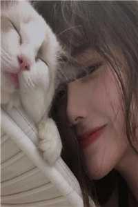 林深时见明月清小说