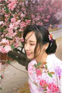 花都邪少，开局加入合欢宗免费看