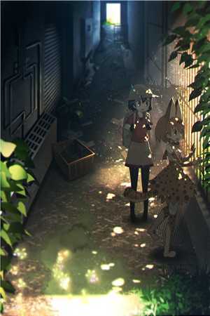 星君如月江似流全文+后续