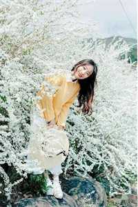 大明星的小助理勾了太子爷畅读