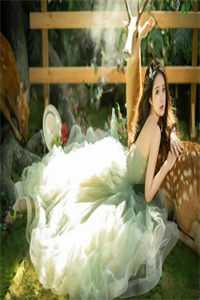 旧梦碎，新途生后续+全文