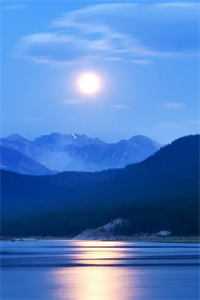 我虚构的假员工，竟半夜出了事故小说结局