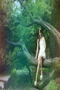 晚风惊扰旧梦番外+无删减