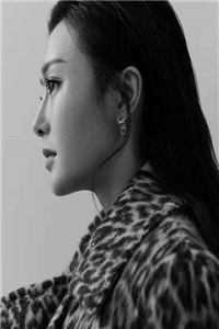 岁岁与枝同免费阅读