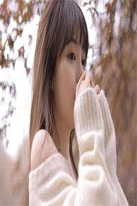 岁岁不相见全章节阅读