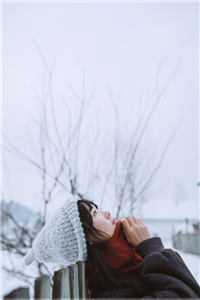 情深朝朝如许必读文