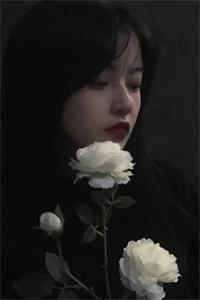 无人共我黄昏时后续+无弹窗