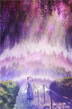 雪落无声覆白头番外