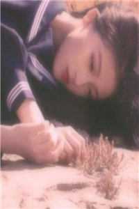 假少爷他谁也不爱了目录