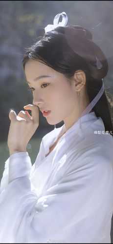 开局空降，女书记靠我整顿官场热门