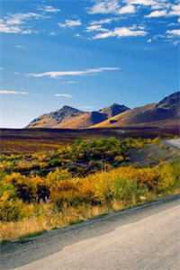 京晚欲燃方晚夏高域无删减全文