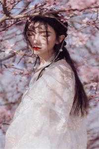 娶了京圈大小姐后，两个青梅后悔疯了完结