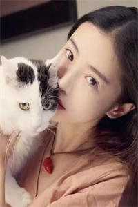 顶级诱捕法则完整版