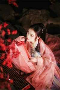 八零搞钱天花板，赶山狩猎加灵泉推荐