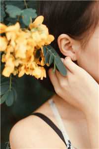 南风过楹碎花影完结+番外