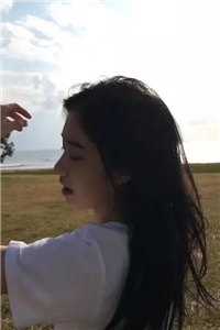 晚星陨落再无夏已完结