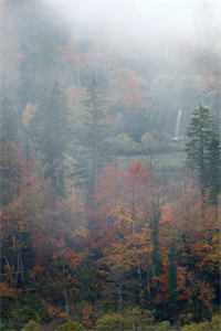 云栖暮色未晓时慕云羡陆璟轩全文