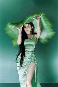 晚风惊扰旧梦最新热门小说