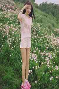 寒江渡我半生殇完结文