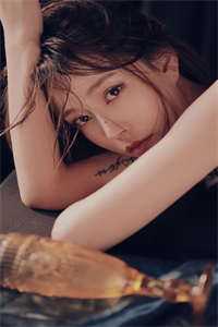 春风如过客，秋水揽星河林星晚顾北辰结局+番外