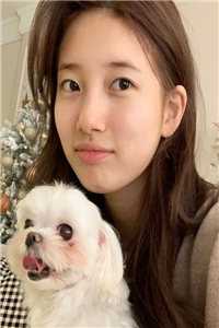 雪落无声覆白头全本