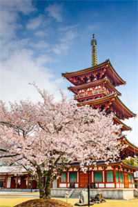 快活神医，从征服丰满女总裁开始精品篇