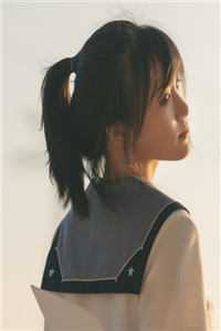 风停后无人归番外+无删减