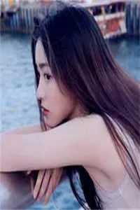 十三载浓墨总相宜优质全文阅读