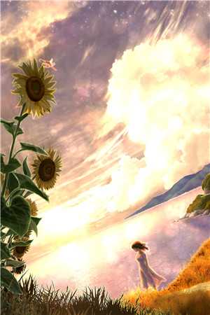 病美人嫁疯批，全大院坐等吃席火爆小说