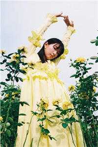 晚风惊扰旧梦爽文