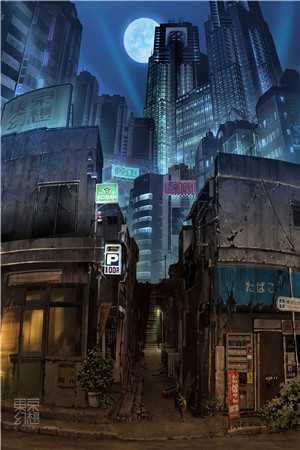 月落空山听落花无错版