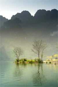 大婚当日九皇子要我给侍女磕头，太子一怒抢亲无删减+无广告