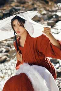 半颗丹心喂霜骨，一念成皇已完结