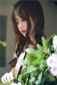 雾霭散尽人无踪小说大结局