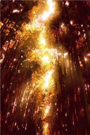 你抄家，我流放，搬空皇宫去流浪结局+番外