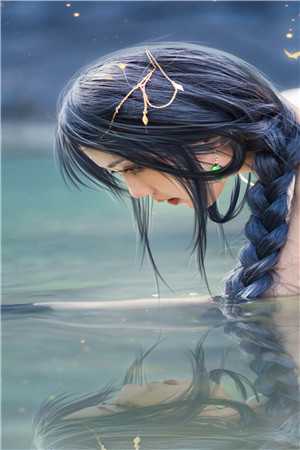 岁岁与枝同在线阅读