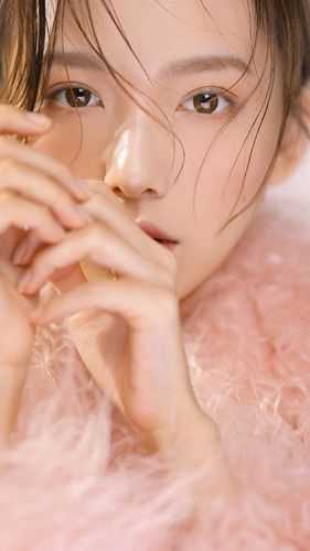 梨枝空映月，不见旧人归完结+番外