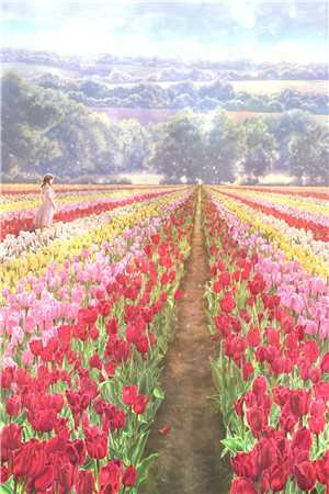 漫漫长夏无尽时广告+结局