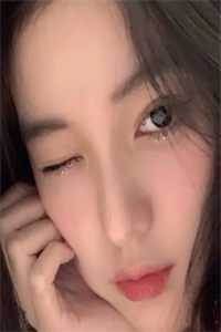 灯花对面不相识必读文