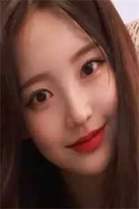 梨枝空映月，不见旧人归段榆景阮梨白无删减+无广告