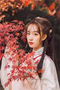 甜文完结的第五年，我们离婚了热门