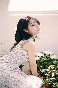 港城有海，山城有雾全篇