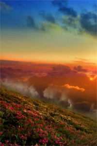 此后长风不渡舟by