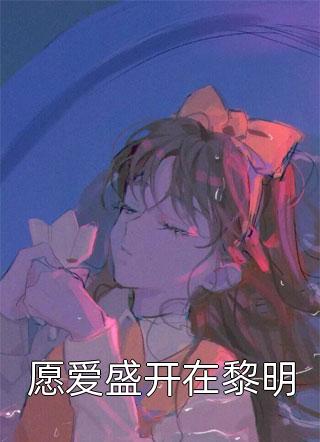 你拿军功换平妻，我诰命加身嫁王府必读文