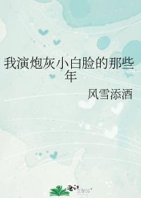 爱落无悔言情小说
