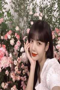 无妨水月镜中花爽文